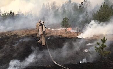 У Чорнобильській зоні продовжує горіти ліс