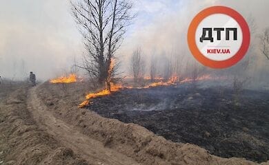 Бороться с лесным пожаром возле Чернобыля помогают жители ближайших сел