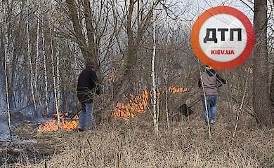 Местные жители начали своими силами бороться с пожаром возле Чернобыля