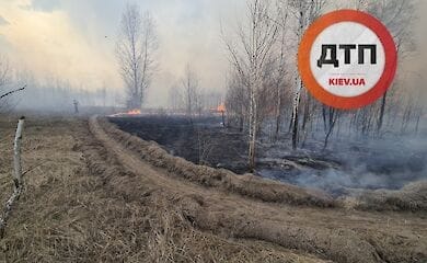 Местные жители начали своими силами бороться с пожаром возле Чернобыля