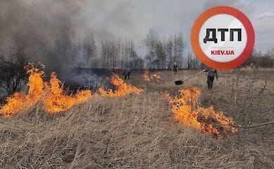 Местные жители начали своими силами бороться с пожаром возле Чернобыля