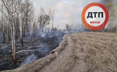 Местные жители начали своими силами бороться с пожаром возле Чернобыля