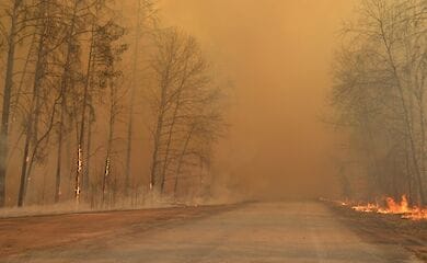 Парламент повысил штрафы за сжигание сухой травы