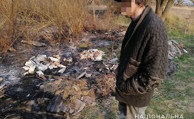 Задержан второй поджигатель в Чернобыле