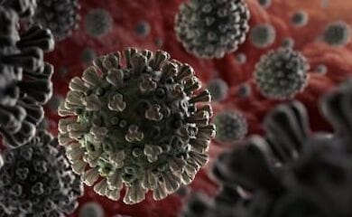 В Киевской области от коронавируса за сутки умерли два человека