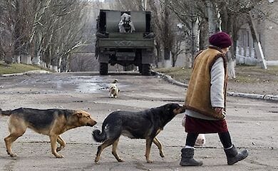ЕС выделил Украине €13 млн на поддержку восточных регионов и борьбу с пандемией