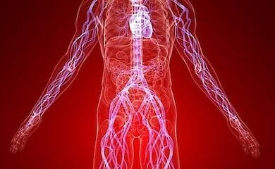 Ученые нашли связь между перенесенными инфекциями и раком