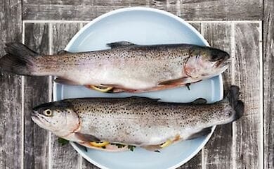 Ученые назвали продукты защищающие от деменции