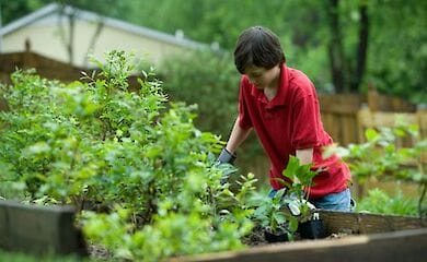 Українські заробітчани будуть працювати на фермах