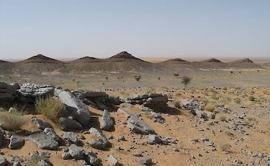 Север Сахары оказался местом жизни многих хищных динозавров