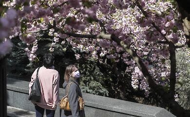 У Кабміні розраховують першим відновити внутрішній туризм