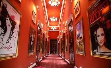 Киевский театр оперетты во время карантина проводит реконструкцию главного зала