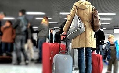 В правительство начало поступать много запросов на отправку украинских рабочих