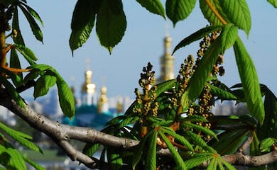 Климатологи рассказали, чем ознаменовался апрель в Киеве
