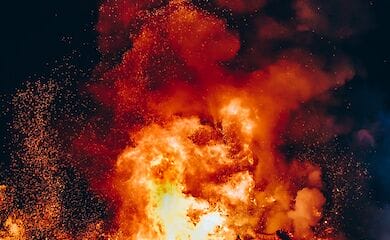 Пострадавшим от лесных пожаров на Житомирщине выплатят компенсацию