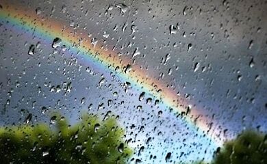 Різке похолодання, дощ і сильний вітер прогнозують в Києві і області