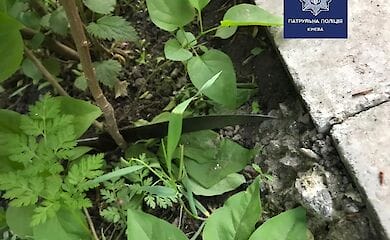 На столичній Борщагівці стався розбійний напад