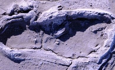 Найдены отпечатки ног людей, которым более 10 тысяч лет 