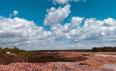 В Киевской области образовалась свалка из тонн моркови