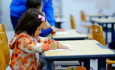 Уже закрыты восемь учебных учреждений 