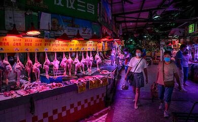 Заборона буде діяти п'ять років