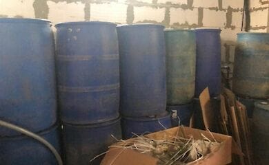 Під Києвом нелегально виготовляли віскі та коньяк