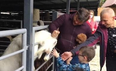 На Андрея Богдана завели уголовное производство