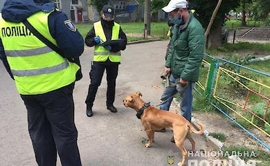 В Киеве штрафовали собачников