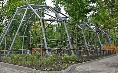 В Киевском зоопарке переселили в новый вольер семью обезьян