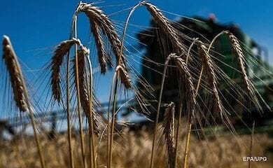 В Україні покращили прогноз щодо врожаю зерна