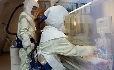 Вчений попередив про новий небезпечний вірус