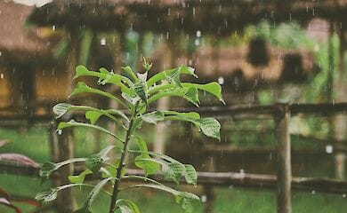 У перший день літа буде холодно