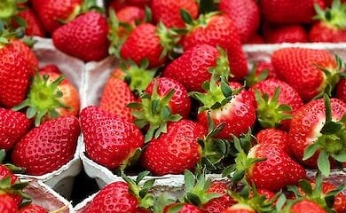 В Киеве пройдут традиционные ярмарки с овощами и фруктами