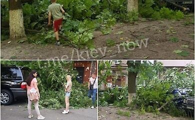 В центре Киева дерево придавило три машины