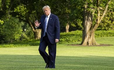 Племянница президента США Трампа опубликует истории о президенте