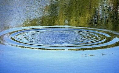 В Северодонецке утонули мужчина и ребенок