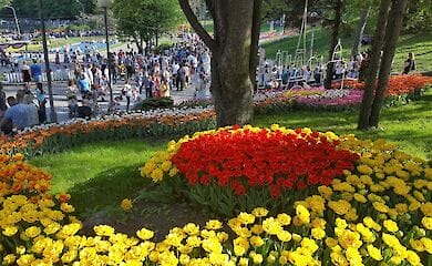 В Киеве откроют "цветочное сафари"