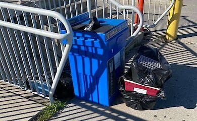 На борту самолета, который летел С Торонто в Киев погибло 38 щенков 