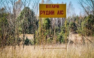 В зоне ЧАЭС снова горел лес