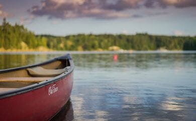 Ученые проверили коронавирус на выживаемость в реках 