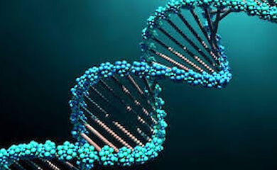 Вчені знайшли спосіб передбачати тривалість життя людей