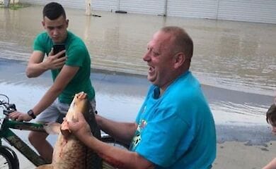 У Чернівцях на підтоплених паводком ринок припливла риба