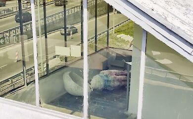 На метро Днепр разбили медузу