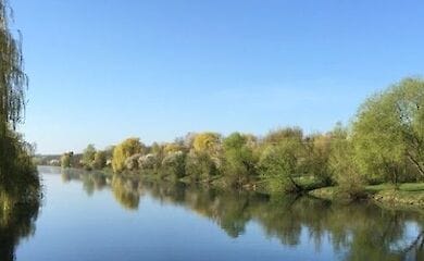 У Києві на озері виявлено труп чоловіка