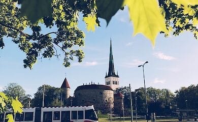 Украинцы среди лидеров ходатайствовавших о получении вида на жительство в Эстонии