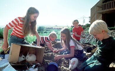 Дитячий табір почне функціонувати в тестовому режимі