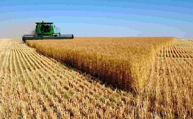 Новый налог для селян может подтолкнуть последних  продаже земли