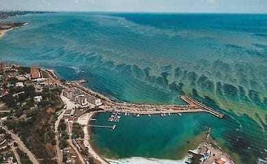 "Цветение" Черного моря видно даже из космоса