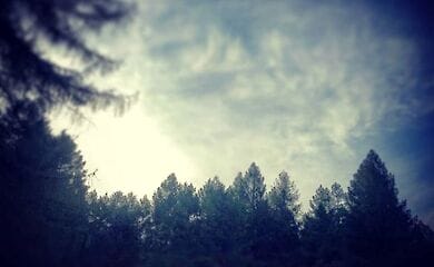 Обухівські Карпати