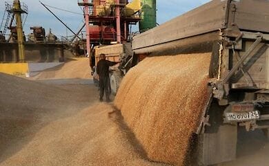 Украинские аграрии обновили рекорд по экспорту зерновых